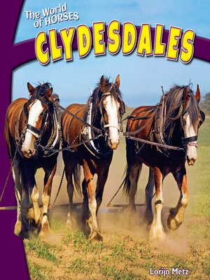 cover image of Clydesdales